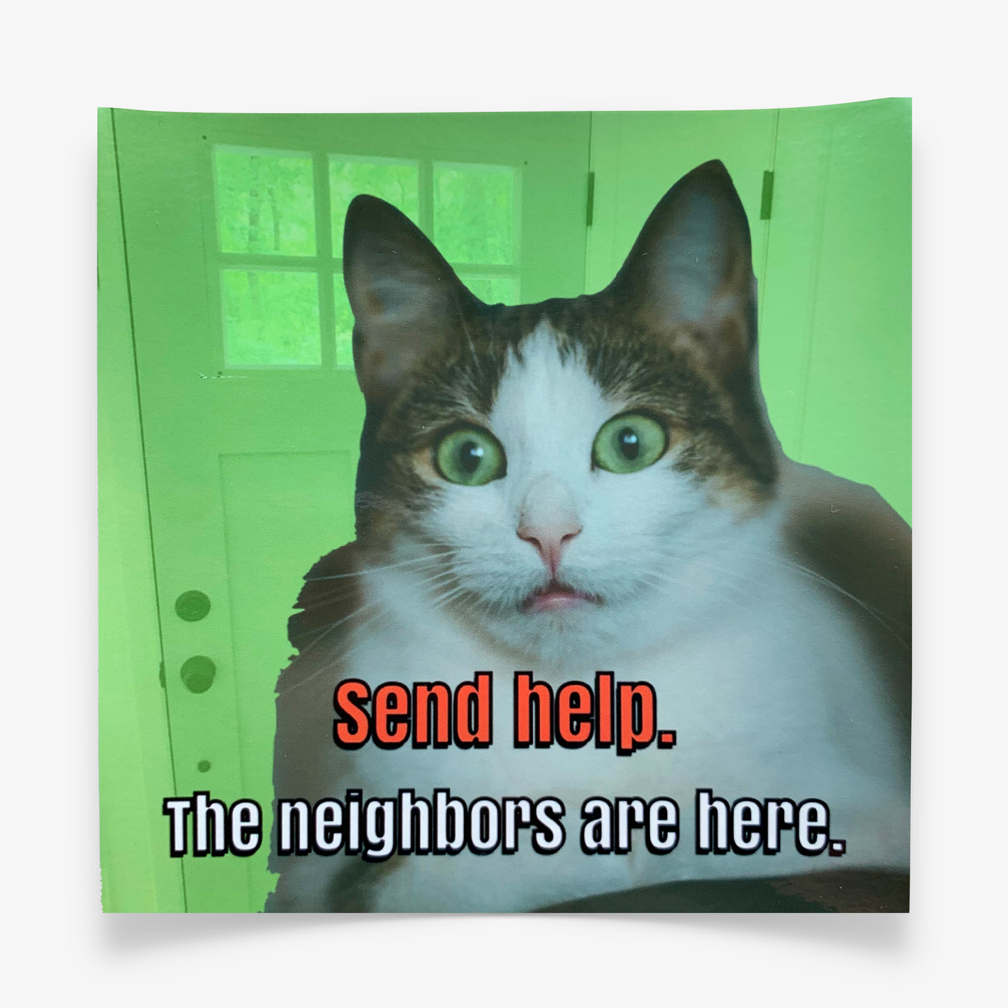 Cat Window Cling (4x4)