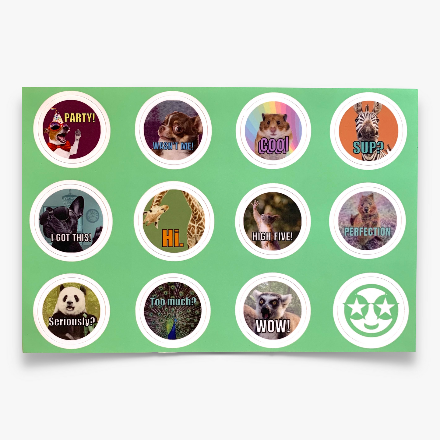 BIG ANIMAL Sticker Sheet (11x7)